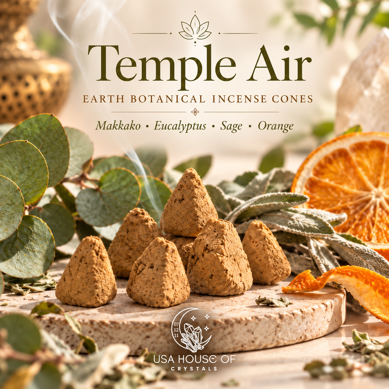 Temple Air — Earth Botanical Incense Cones | 10 Pieces